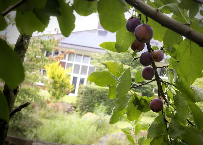 Het Bascour Holthees