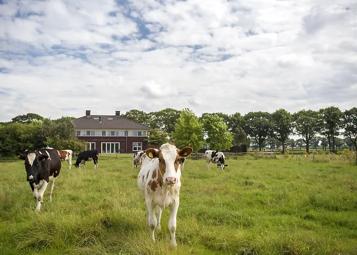 Het Bascour Bed and Breakfast