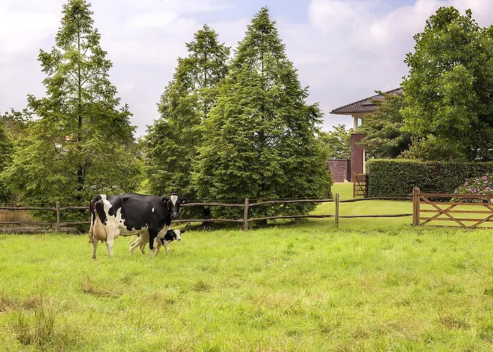 Bed and Breakfast Het Bascour 3*