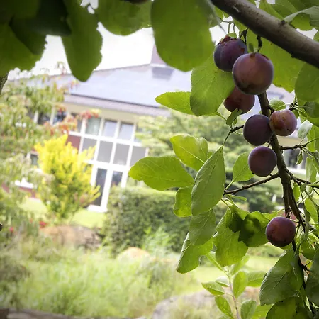 Het Bascour Holthees